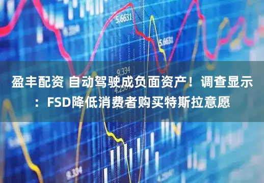 盈丰配资 自动驾驶成负面资产！调查显示：FSD降低消费者购买特斯拉意愿
